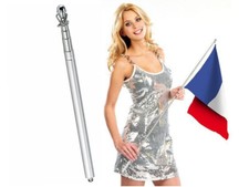 Manche télescopique pour