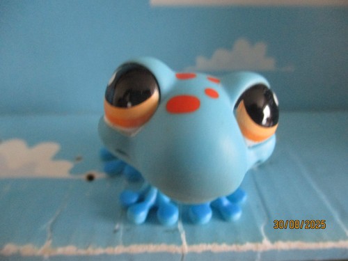 Petshop grenouille 806 - petshop, n°806
