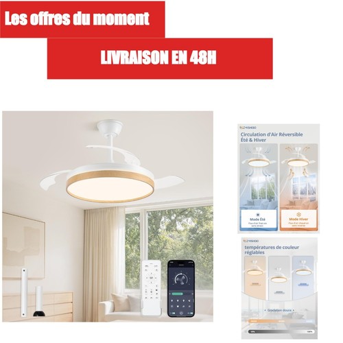 Ventilateur plafond - ventilateur,