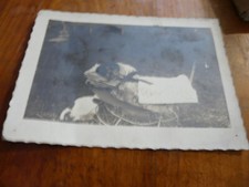 photo ancienne circa 1925 un chien  déguisé en bébé dans une poussette