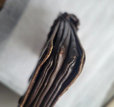 Pochette Celine trio en