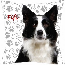 coussin chien border collie