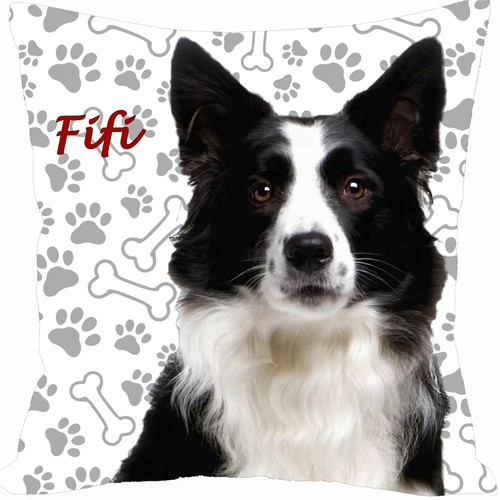 Coussin chien border collie - chien,