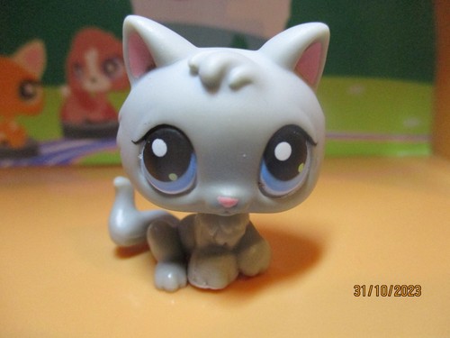 Petshop chaton aimant - chaton, #66