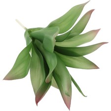  Fausse Plantes En Pot