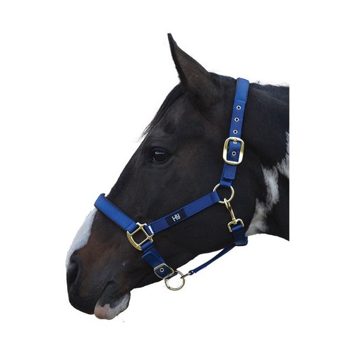 Licol grand prix - -,