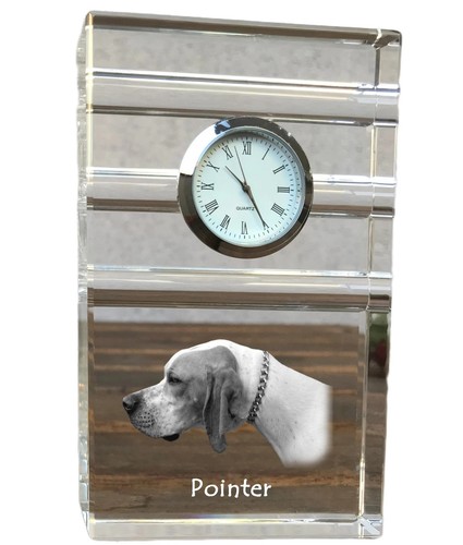 Pointer anglais tricolore - anglais,