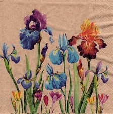 (2) Two Paper Lunch Napkins