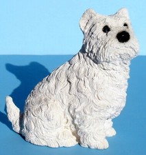 West Highland White Terrier