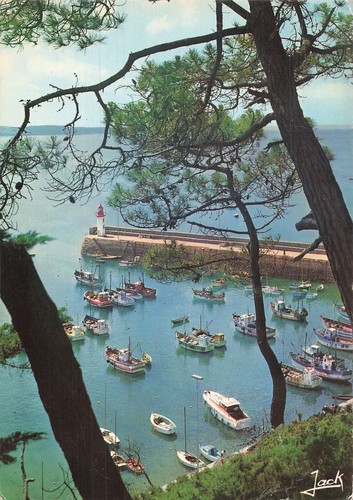 Erquy port vu - 22, le