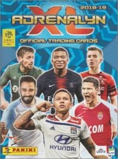 SCO ANGERS - CARTE FOOT PANINI