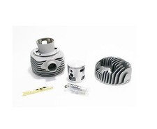 PINASCO 25030942 Groupe
