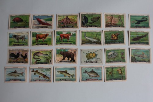 Vignettes chocolat - (, 23