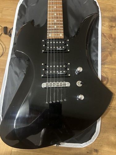 Rich mockingbird electric - bc,