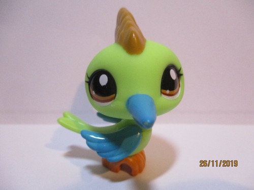 Petshop oiseau pivert 2279 - petshop,