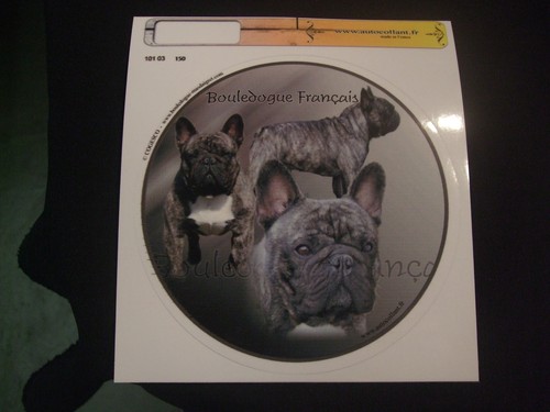 Autocollant motif chien - 1,