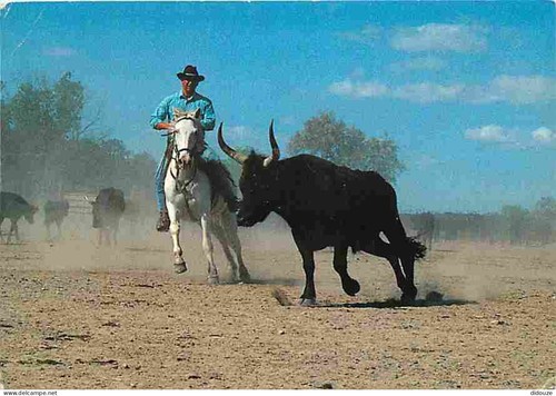 Carte postale animaux - -,
