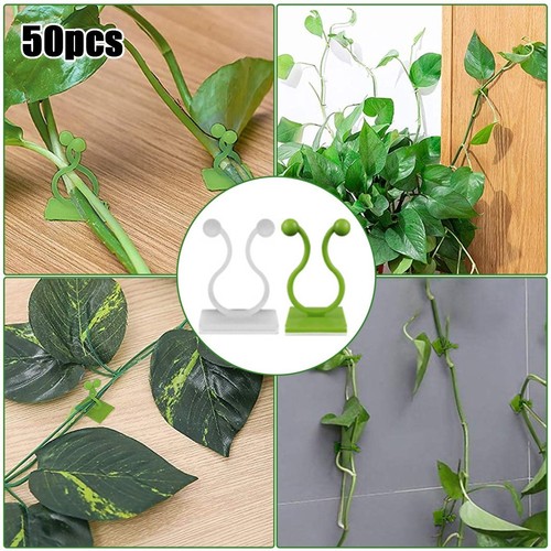Appareils muraux vignes - appareils,