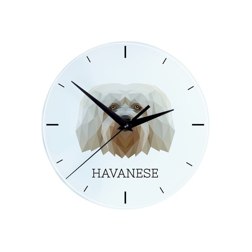 Bichon havanais horloge