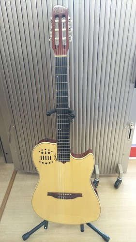 Godin multiac nylon elegat - nylon, sa