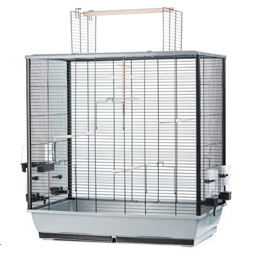 Grande cage oiseaux - à,