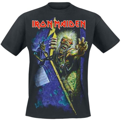 Iron maiden prayer - iron, the