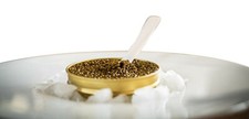 Caviar osciètre 125 - osciètre, gr