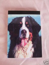 Carnet aimanté à feuilles