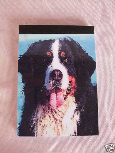Carnet aimanté feuilles - carnet,