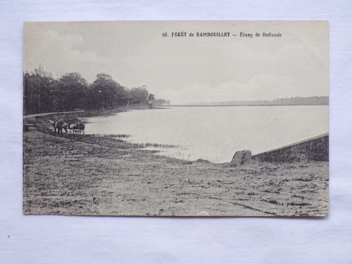 Forêt rambouillet étang - rambouillet,