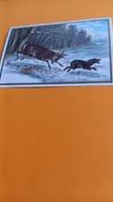CHROMO ANCIENNE CHASSE  CERF ET CHIEN
