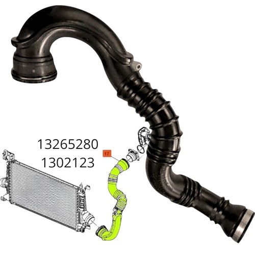 Durite turbo - , de