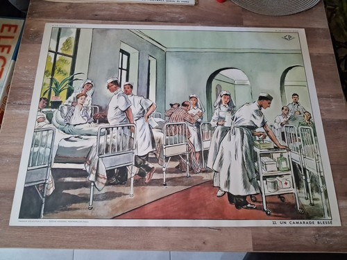 Affiche scolaire camarade - affiche,