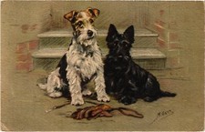 CPA AK Fox Terrier Two Fox Terriers DOGS (1388161)