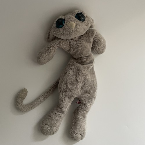 Rare peluche chat - rare,