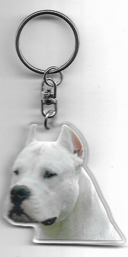 Dogue argentin porte - dogue, clés