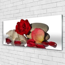 Impression sur verre acrylique Image tableau 125x50 Art Rose Coquille