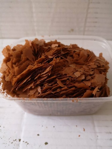Artemia flake food flocons aux - flocons,