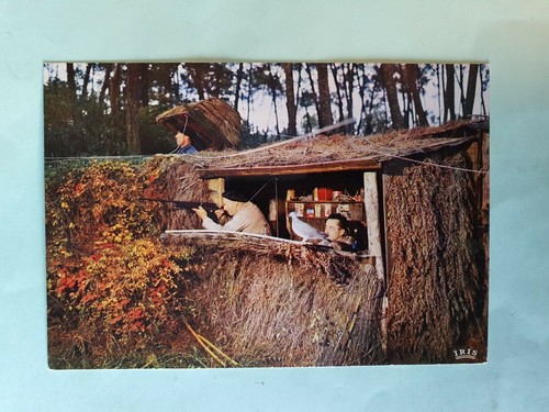 Carte postale des - postale, landes