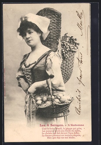 Automne femme panier - femme,