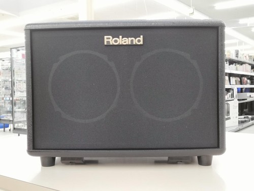 Roland acoustic chorus - roland,