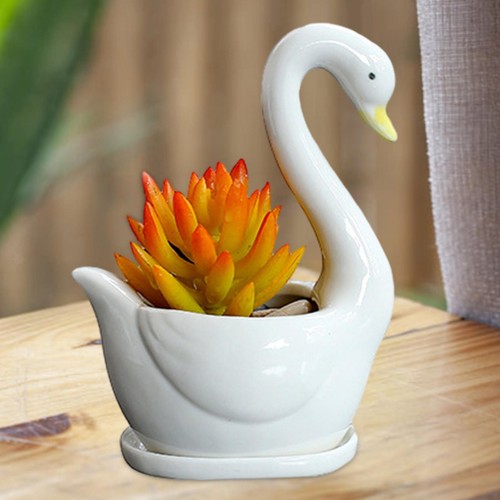 Pot fleur céramique - pot,