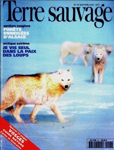 Terre sauvage forêts - sauvage,