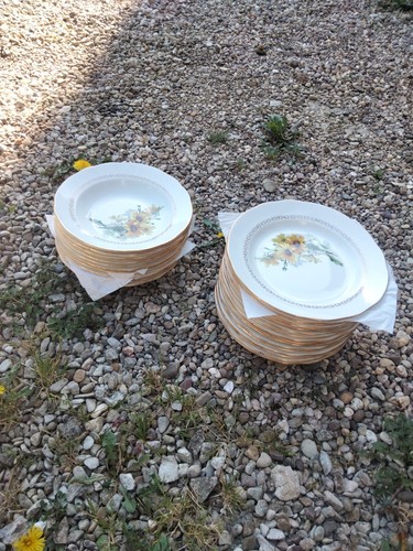 Assiette plate creuse - 11,