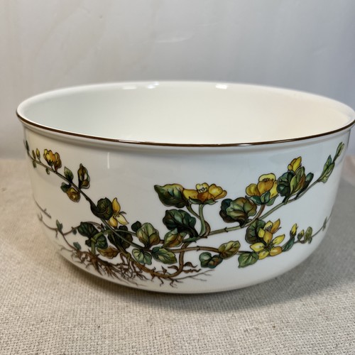 Villeroy boch botanica - villeroy,