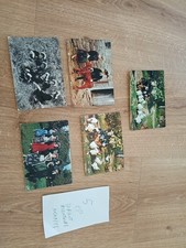 lot 5 Carte postale cpa Lorient groix -Folklore Bretagne-Costume  coiffe-56