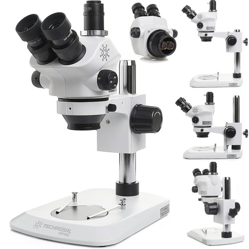 Microscope stéréo