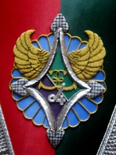 FANION (CANNETILLE) DES DRAGONS PARACHUTISTES LE 13° RDP LE 4° ESCADRON