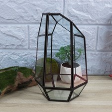  Terrarium géométrique en