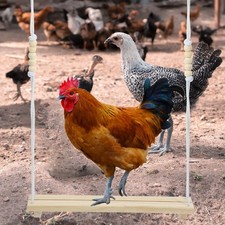  Parrot Accessory Balancoir Poule Balançoire À Accessoires D'oiseaux Pour Cages